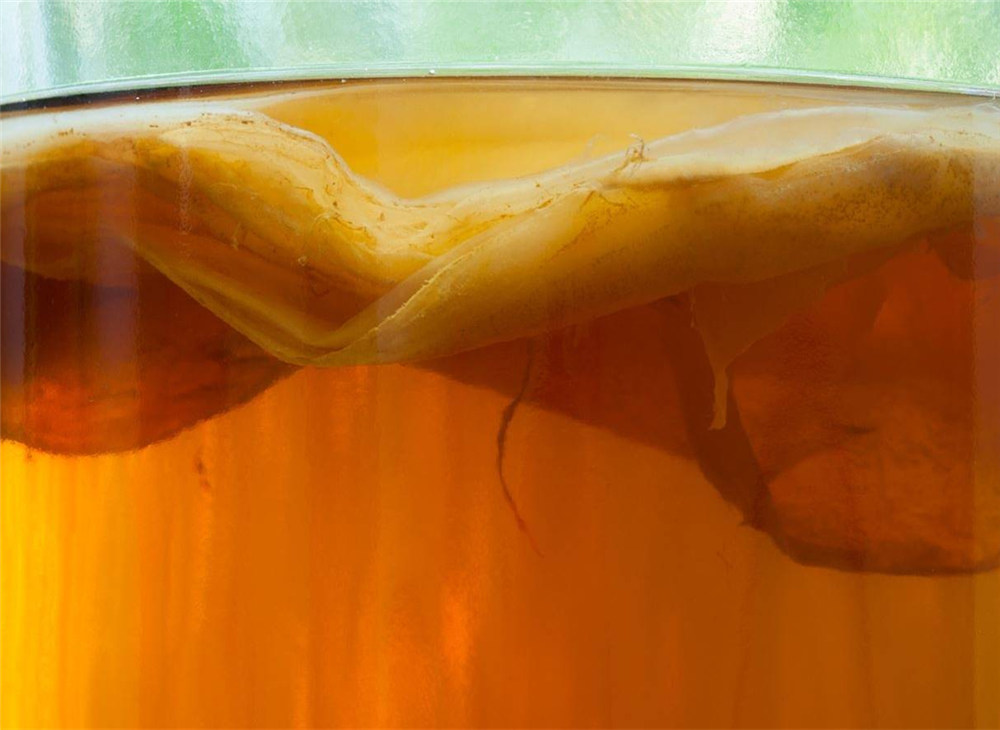 What Is Kombucha?